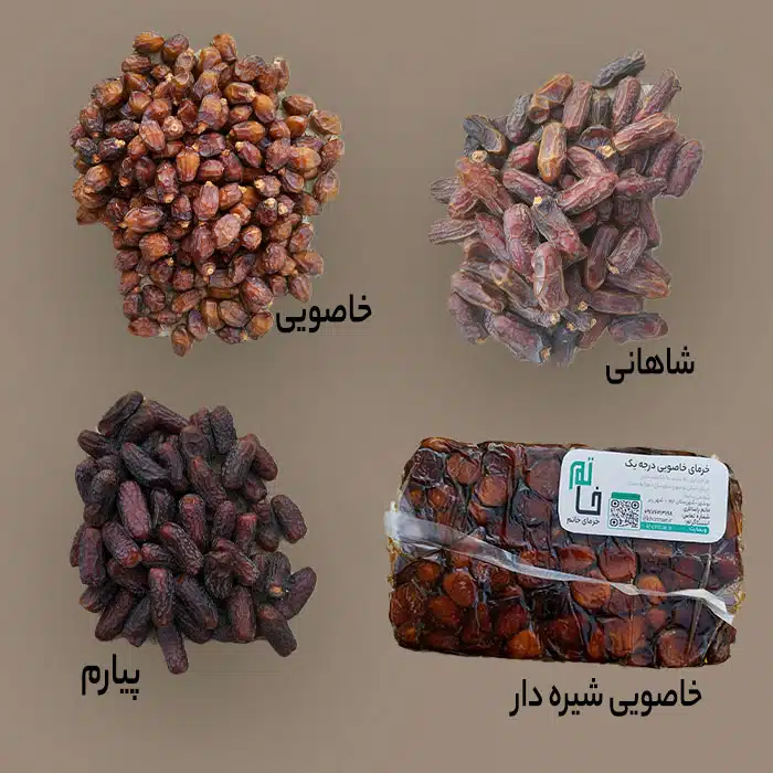 خرید انواع خرما بوشهر